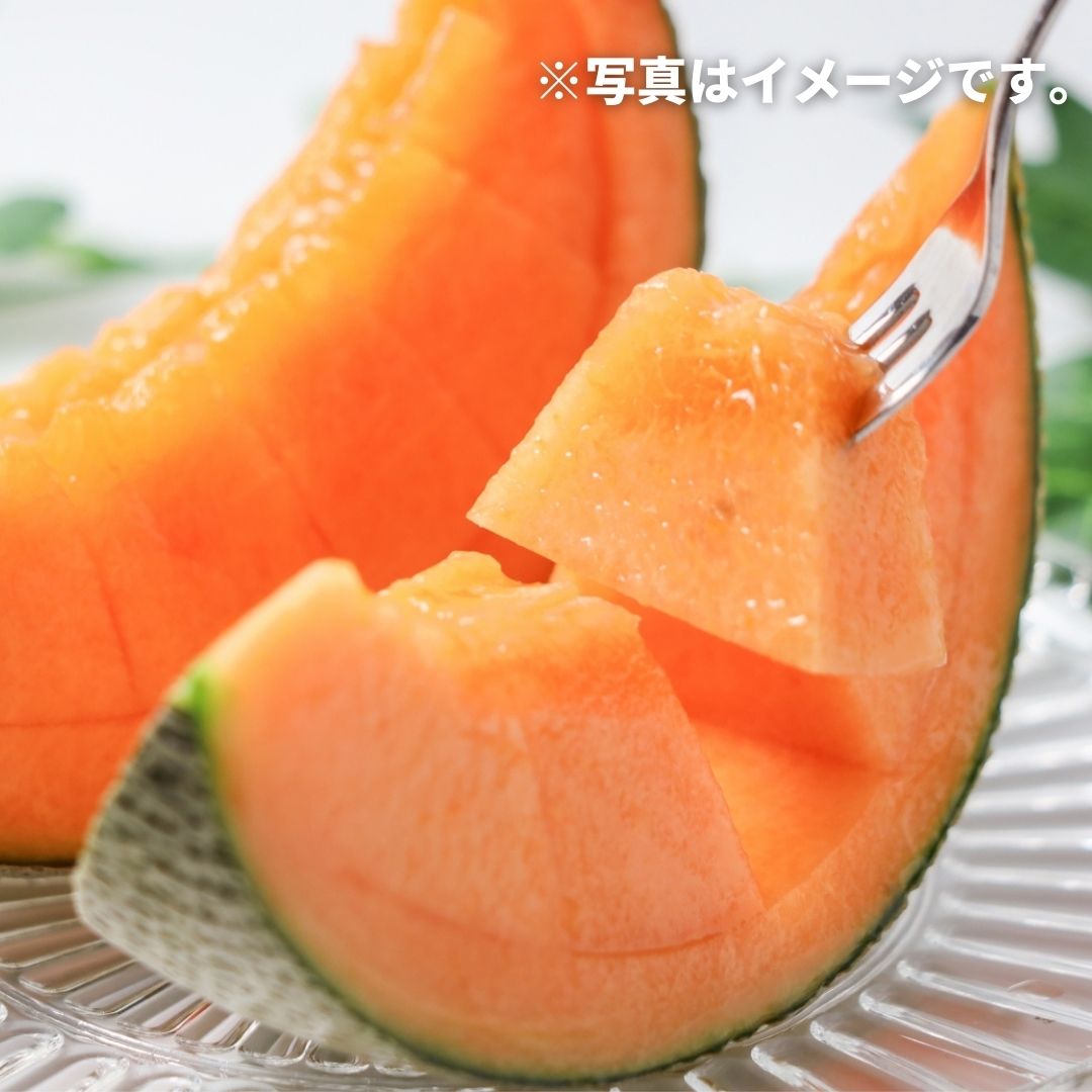 【ふるさと納税】赤肉メロン 2玉 【令和9年産 先行予約】メロン 北海道 果物 めろん フルーツ くだもの おすすめ 人気 北海道産 北海道美瑛 美瑛 ギフト 贈答 贈り物 お祝い プレゼント 美景農園 2