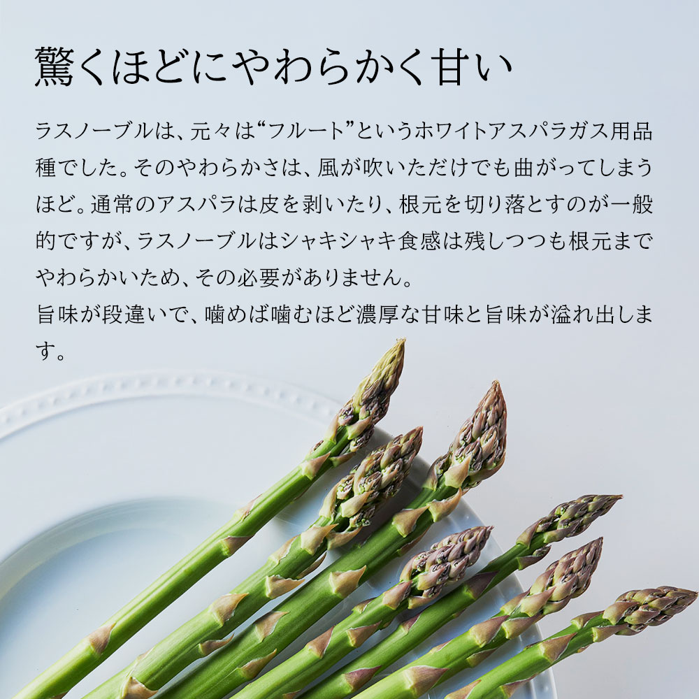 【先行予約】令和9年産【ふるさと納税】幻のアスパラ 1kg 2kg 令和9年産 送料無料！美瑛町 本山農場のラスノーブル（グリーンアスパラ）2S～2Lサイズ 訳あり 野菜 送料無料 北海道美瑛 北海道 美瑛町 アスパラ アスパラガス 美瑛産アスパラガス 北海道産 美瑛産 2