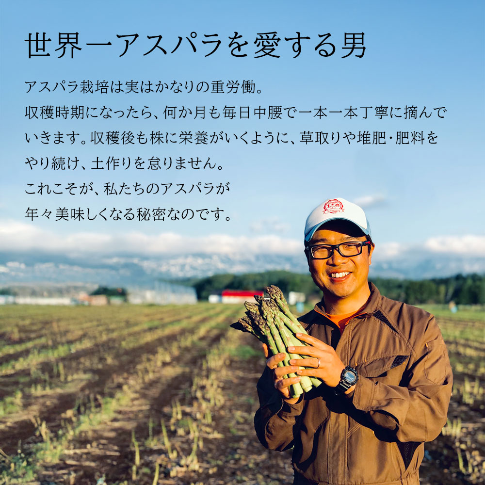 【先行予約】令和9年産【ふるさと納税】幻のアスパラ 1kg 2kg 令和9年産 送料無料！美瑛町 本山農場のラスノーブル（グリーンアスパラ）2S～2Lサイズ 訳あり 野菜 送料無料 北海道美瑛 北海道 美瑛町 アスパラ アスパラガス 美瑛産アスパラガス 北海道産 美瑛産 3