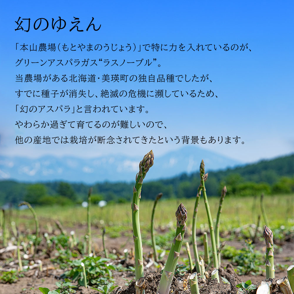 【先行予約】令和9年産【ふるさと納税】幻のアスパラ 1kg 2kg 令和9年産 送料無料！美瑛町 本山農場のラスノーブル（グリーンアスパラ）2S～2Lサイズ 訳あり 野菜 送料無料 北海道美瑛 北海道 美瑛町 アスパラ アスパラガス 美瑛産アスパラガス 北海道産 美瑛産 4