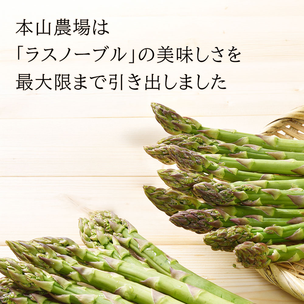 【先行予約】令和9年産【ふるさと納税】幻のアスパラ 1kg 2kg 令和9年産 送料無料！美瑛町 本山農場のラスノーブル（グリーンアスパラ）2S～2Lサイズ 訳あり 野菜 送料無料 北海道美瑛 北海道 美瑛町 アスパラ アスパラガス 美瑛産アスパラガス 北海道産 美瑛産 7