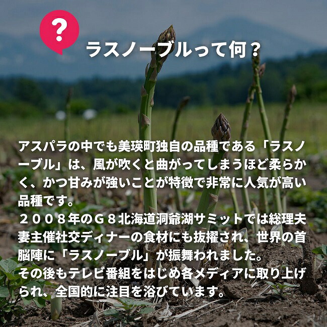 【先行予約】令和9年産【ふるさと納税】幻のアスパラ 1kg 2kg 令和9年産 送料無料！美瑛町 本山農場のラスノーブル（グリーンアスパラ）2S～2Lサイズ 訳あり 野菜 送料無料 北海道美瑛 北海道 美瑛町 アスパラ アスパラガス 美瑛産アスパラガス 北海道産 美瑛産 9