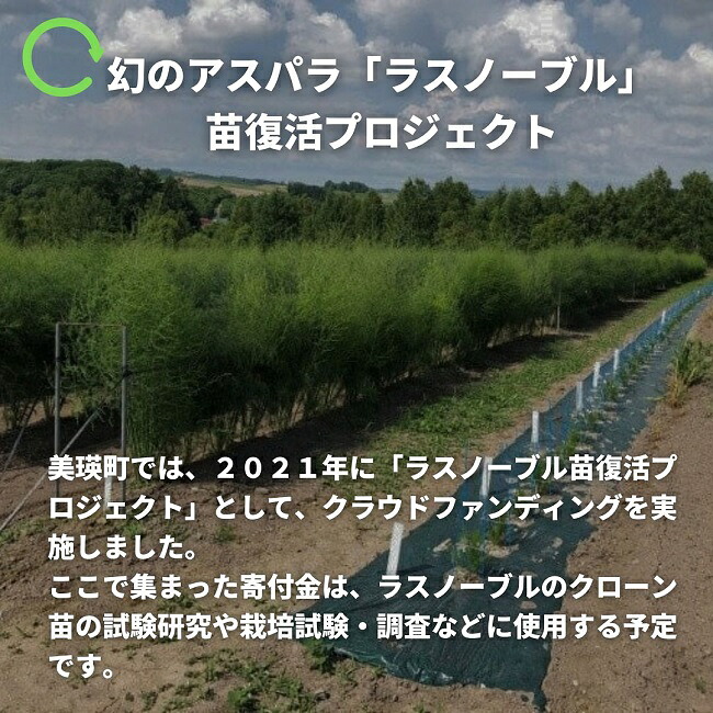 【先行予約】令和9年産【ふるさと納税】幻のアスパラ 1kg 2kg 令和9年産 送料無料！美瑛町 本山農場のラスノーブル（グリーンアスパラ）2S～2Lサイズ 訳あり 野菜 送料無料 北海道美瑛 北海道 美瑛町 アスパラ アスパラガス 美瑛産アスパラガス 北海道産 美瑛産 11