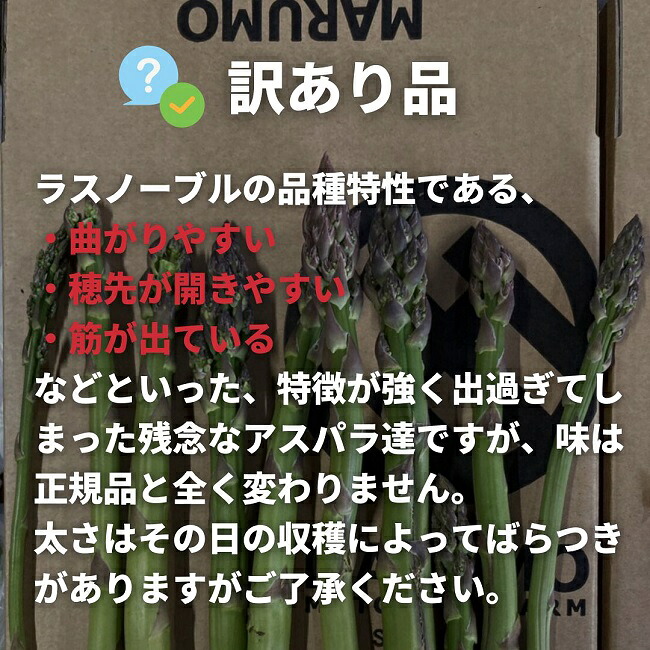 【先行予約】令和9年産【ふるさと納税】幻のアスパラ 1kg 2kg 令和9年産 送料無料！美瑛町 本山農場のラスノーブル（グリーンアスパラ）2S～2Lサイズ 訳あり 野菜 送料無料 北海道美瑛 北海道 美瑛町 アスパラ アスパラガス 美瑛産アスパラガス 北海道産 美瑛産 12