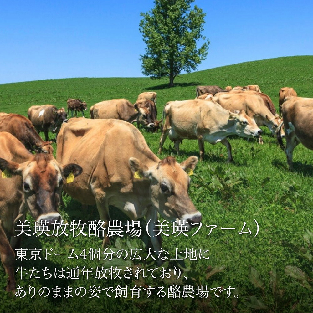 【ふるさと納税】チーズセット 4種 チーズ 詰め合わせ 北海道 ラクレット チーズフォンデュ 熟成 長期熟成 フレッシュ グランプリ受賞 人気 おすすめ おつまみ 食べ比べ 生乳 北海道生乳 乳製品 cheese ちーず 北海道チーズ 国産チーズ 国産 北海道産 ギフト 美瑛放牧酪農場 2