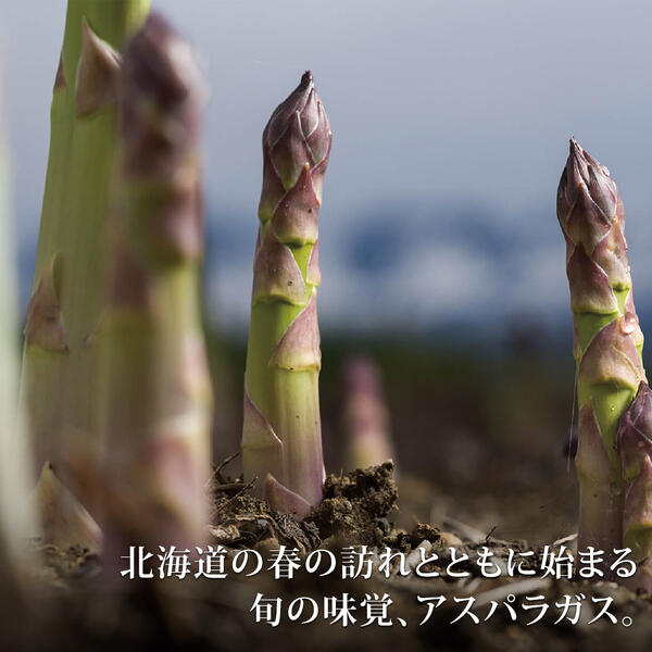 【ふるさと納税】グリーンアスパラ1kg 2kg【令和9年産先行予約】送料無料！M～2Lサイズ 美瑛選果 グリーン アスパラガス アスパラ あすぱら あすぱらがす 採れたて 新鮮 旬 産地直送 野菜 2