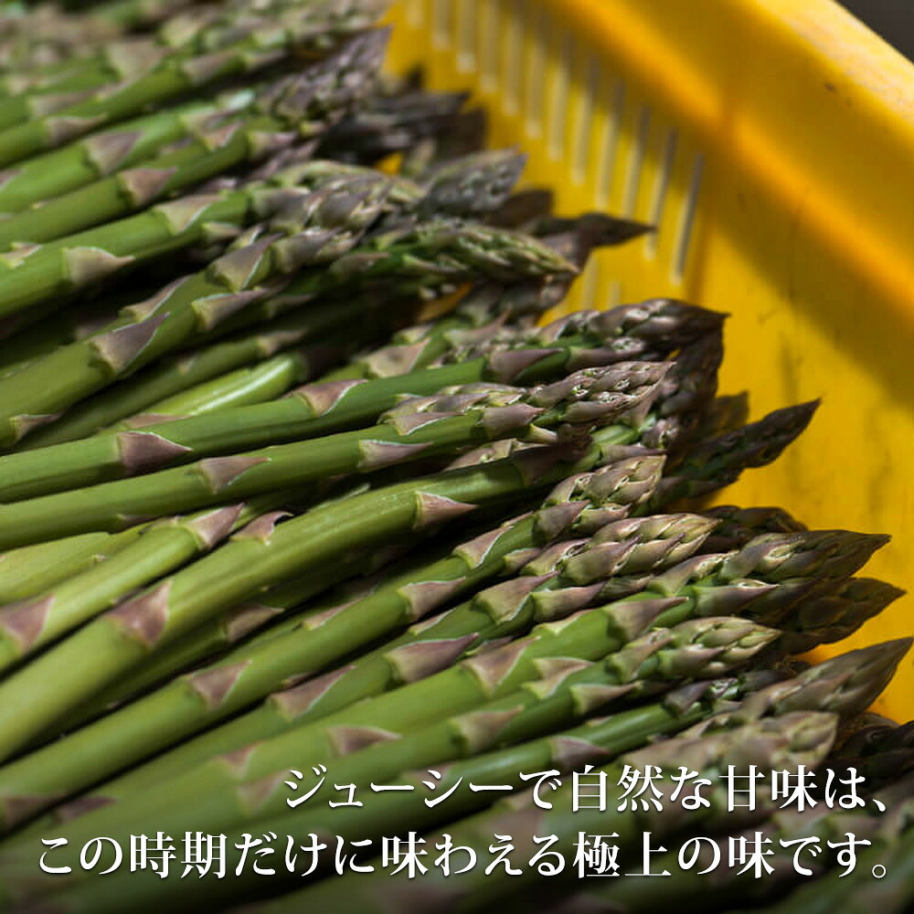 【ふるさと納税】グリーンアスパラ1kg 2kg【令和9年産先行予約】送料無料！M～2Lサイズ 美瑛選果 グリーン アスパラガス アスパラ あすぱら あすぱらがす 採れたて 新鮮 旬 産地直送 野菜 3