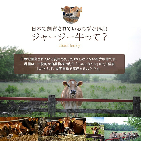 【ふるさと納税】飲むヨーグルト ジャージーミルクヨーグルト 500ml×6本 ヨーグルト ファームズ千代田 3