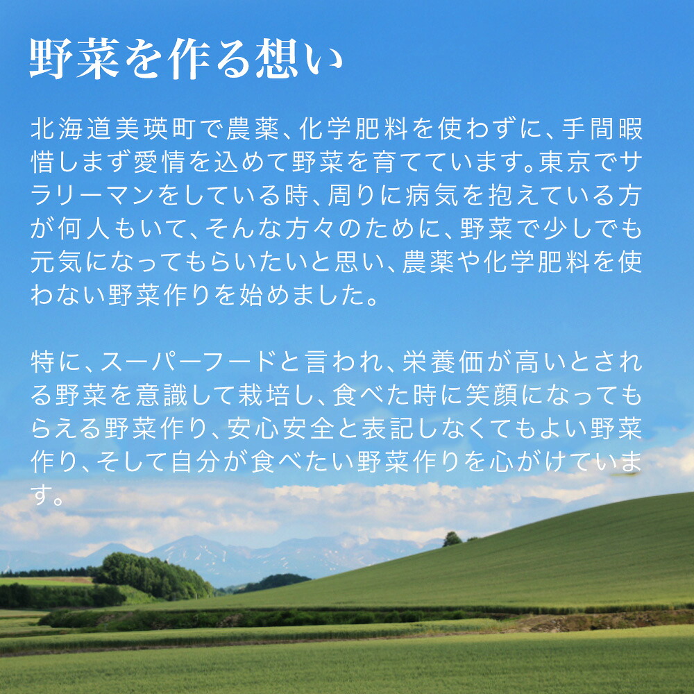 【ふるさと納税】季節の野菜セット【大・小】選べる 定期便 あらいふぁーむ 6