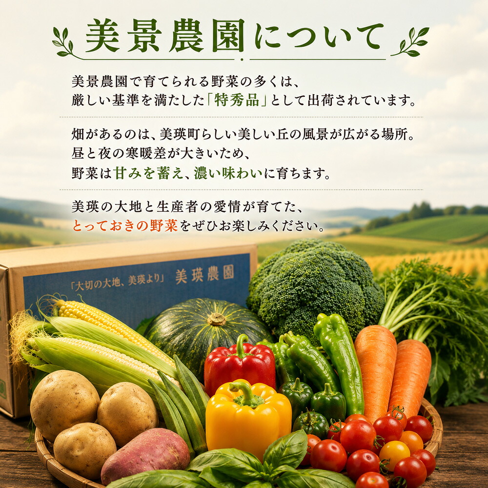 【ふるさと納税】旬の野菜7～9種の詰め合わせセット 選べる発送月 8月 9月 10月 選べる定期便 1～3回 美景農園 2