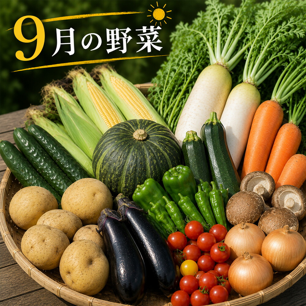 【ふるさと納税】旬の野菜7～9種の詰め合わせセット 選べる発送月 8月 9月 10月 選べる定期便 1～3回 美景農園 4