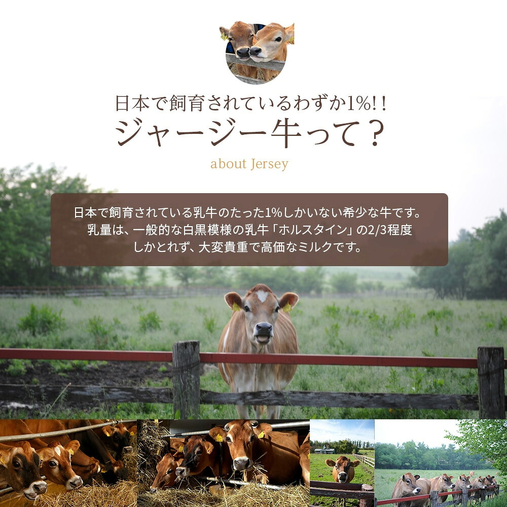 【ふるさと納税】ジャージー牛乳 900ml × 6本 セット 北海道産 搾りたて 牛乳 ファームズ千代田 3