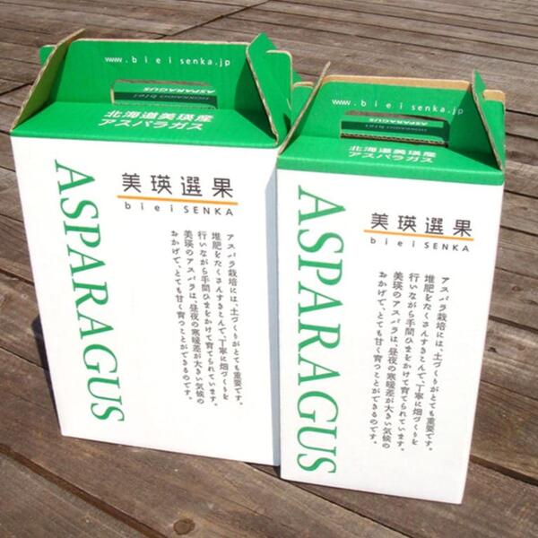 【ふるさと納税】【令和9年産先行予約】グリーンアスパラ 500g & ホワイトアスパラ 300g 美瑛選果 5