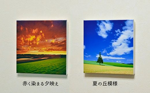 【ふるさと納税】キャンバスプリント(228mm × 228mm)　北海道　北海道美瑛　北海道美瑛町　美瑛町　美瑛　写真　　青い池　赤い屋根の家　クリスマスツリーの木　写真家　阿部俊一　[022-33] 2