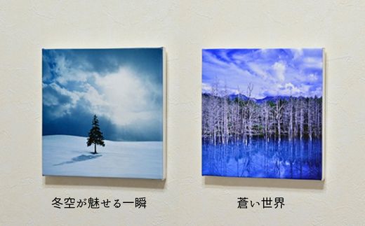 【ふるさと納税】キャンバスプリント(228mm × 228mm)　北海道　北海道美瑛　北海道美瑛町　美瑛町　美瑛　写真　　青い池　赤い屋根の家　クリスマスツリーの木　写真家　阿部俊一　[022-33] 5