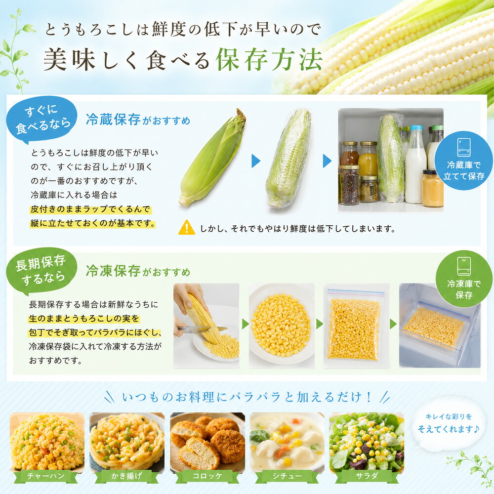 【ふるさと納税】【令和9年産先行予約】 とうもろこし （ほしつぶコーン＆雪の妖精）各6本 計12本 各10本 計20本 5kg以上 詰め合せ 食べ比べ 野菜 送料無料 北海道 スイートコーン とうきび 北海道美瑛 北海道美瑛町 美瑛町 美瑛 北海道産 美瑛産 黒木農場 4