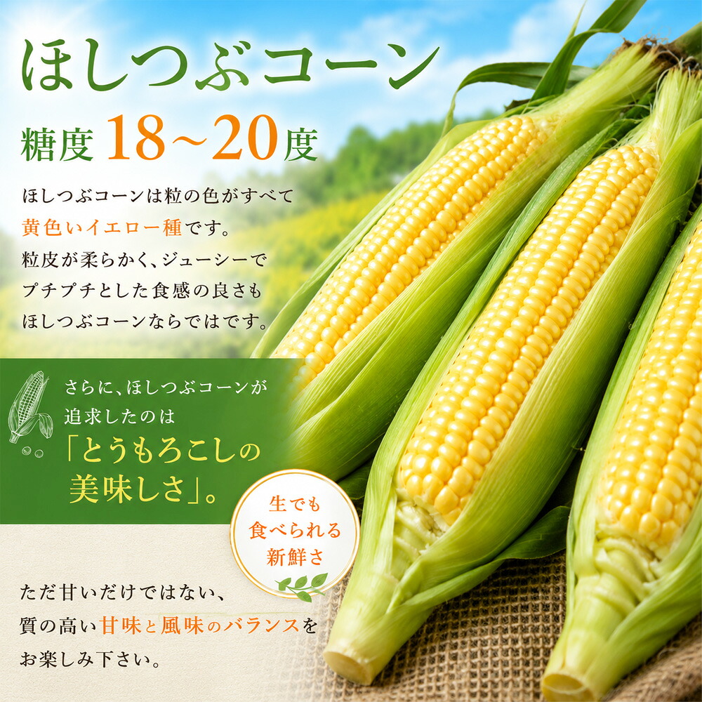 【ふるさと納税】【令和9年産予約受付 】 とうもろこし 北海道 ほしつぶコーン 8本 12本 20本 選べる 1回 2回 定期便 野菜 送料無料 北海道美瑛 北海道美瑛町 美瑛町 美瑛 北海道産 美瑛産 スイートコーン イエローコーン  5kg以上 とうきび 黒木農場 2