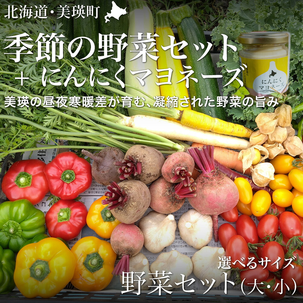 【ふるさと納税】季節の野菜セット【大・小】＆にんにくマヨネーズ あらいふぁーむ