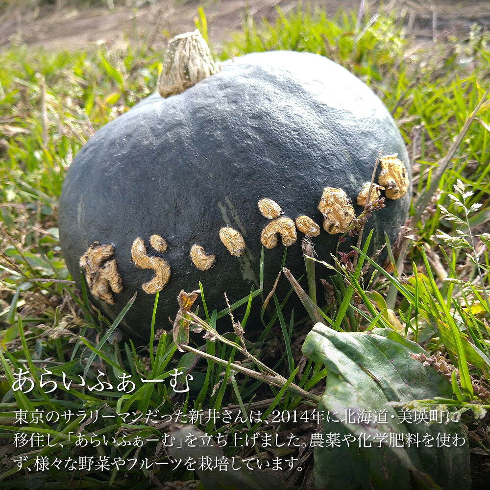 【ふるさと納税】季節の野菜セット【大・小】＆にんにくマヨネーズ あらいふぁーむ 2
