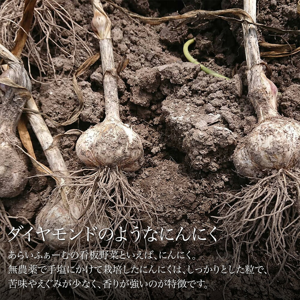 【ふるさと納税】季節の野菜セット【大・小】＆にんにくマヨネーズ あらいふぁーむ 3