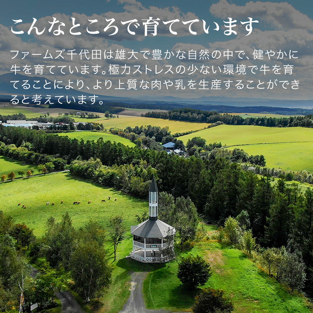 【ふるさと納税】ファームズ千代田　「びえい和牛」焼肉ギフトセット 7