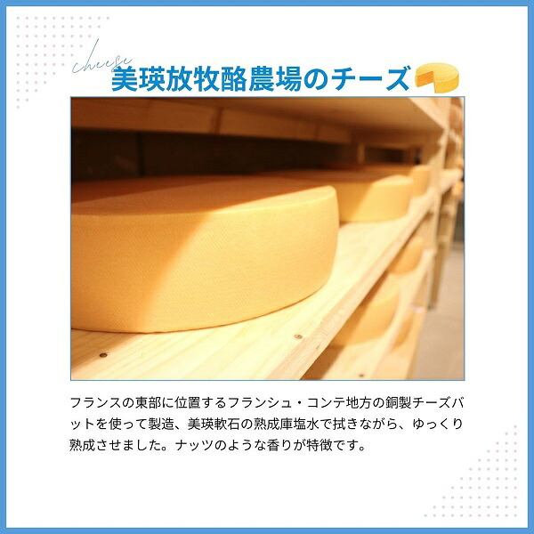 【ふるさと納税】ラクレットチーズ 100g×3個 1.2kg 2.4kg 4.8kg チーズ 北海道 ラクレット・ド・美瑛 2