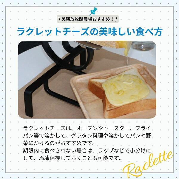 【ふるさと納税】ラクレットチーズ 100g×3個 1.2kg 2.4kg 4.8kg チーズ 北海道 ラクレット・ド・美瑛 4