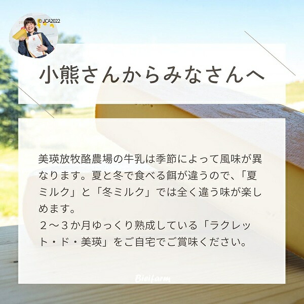 【ふるさと納税】ラクレットチーズ 100g×3個 1.2kg 2.4kg 4.8kg チーズ 北海道 ラクレット・ド・美瑛 7