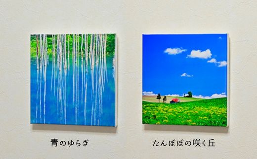 【ふるさと納税】キャンバスプリント(273mm × 273mm)　北海道　北海道美瑛　北海道美瑛町　美瑛町　美瑛　写真　青い池　赤い屋根の家　四季彩の丘　クリスマスツリーの木　写真家　阿部俊一　[036-28] 3