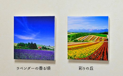 【ふるさと納税】キャンバスプリント(273mm × 273mm)　北海道　北海道美瑛　北海道美瑛町　美瑛町　美瑛　写真　青い池　赤い屋根の家　四季彩の丘　クリスマスツリーの木　写真家　阿部俊一　[036-28] 4