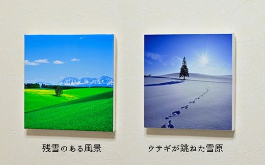 【ふるさと納税】キャンバスプリント(273mm × 273mm)　北海道　北海道美瑛　北海道美瑛町　美瑛町　美瑛　写真　青い池　赤い屋根の家　四季彩の丘　クリスマスツリーの木　写真家　阿部俊一　[036-28] 6
