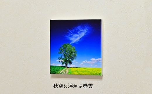 【ふるさと納税】キャンバスプリント(273mm × 273mm)　北海道　北海道美瑛　北海道美瑛町　美瑛町　美瑛　写真　青い池　赤い屋根の家　四季彩の丘　クリスマスツリーの木　写真家　阿部俊一　[036-28] 7