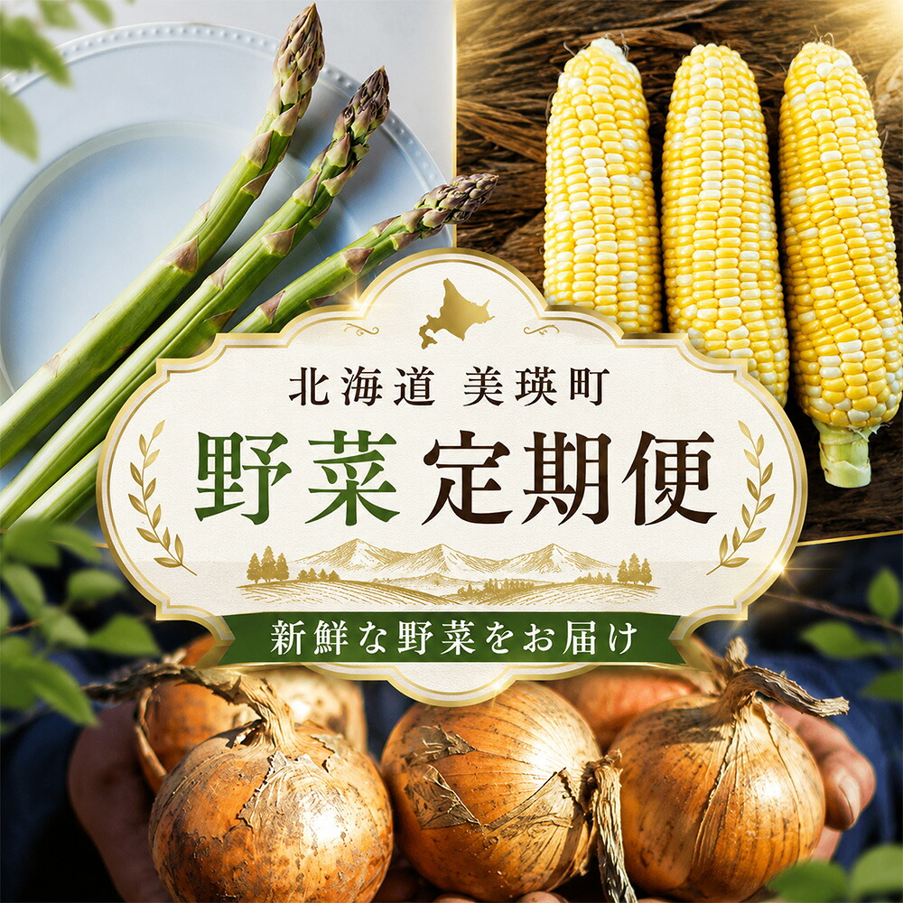 【ふるさと納税】野菜 定期便【令和9年産先行予約】3回便 本山農場の野菜定期便 幻のアスパラ ラスノーブル とうもろこし 玉ねぎ 北海道