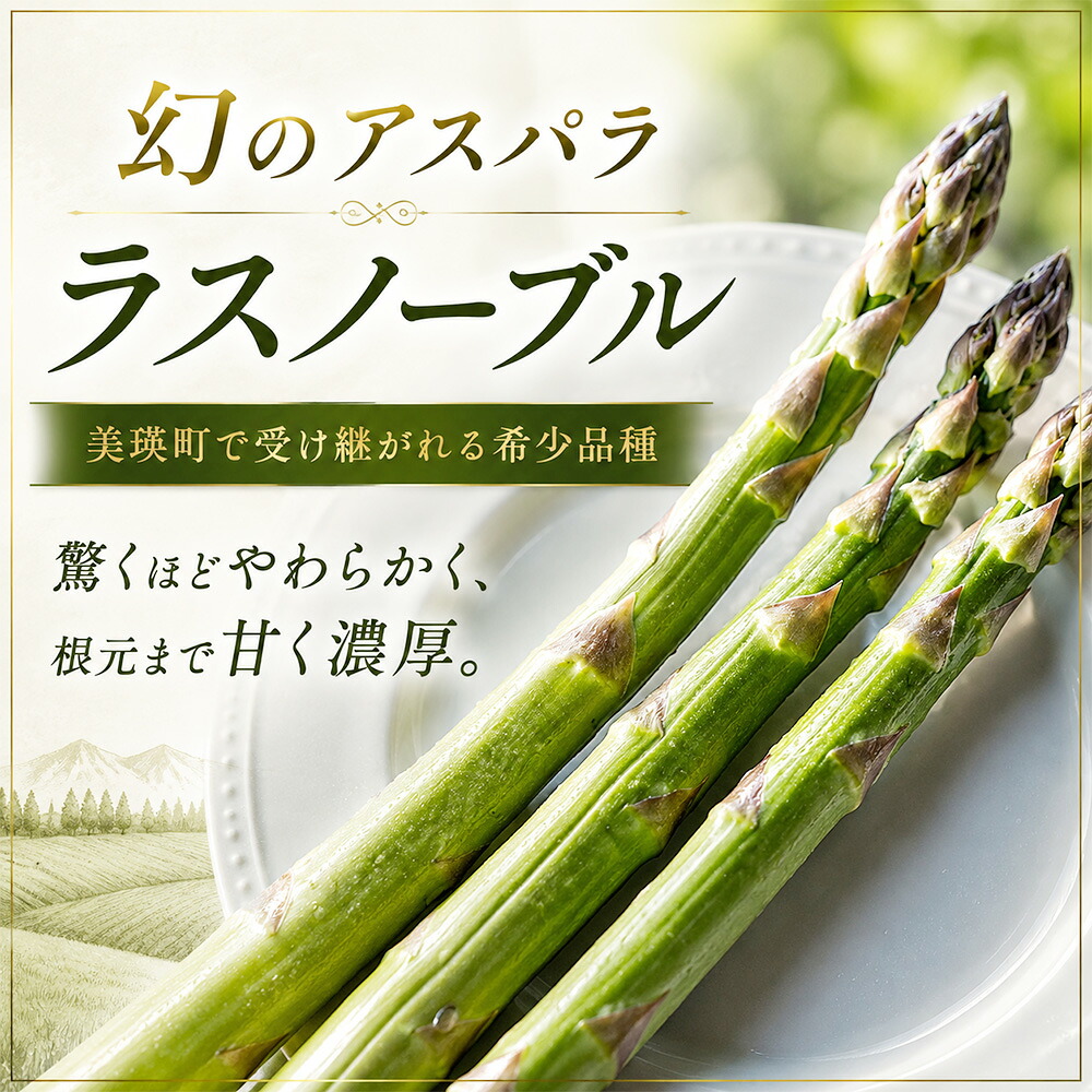 【ふるさと納税】野菜 定期便【令和9年産先行予約】3回便 本山農場の野菜定期便 幻のアスパラ ラスノーブル とうもろこし 玉ねぎ 北海道 2