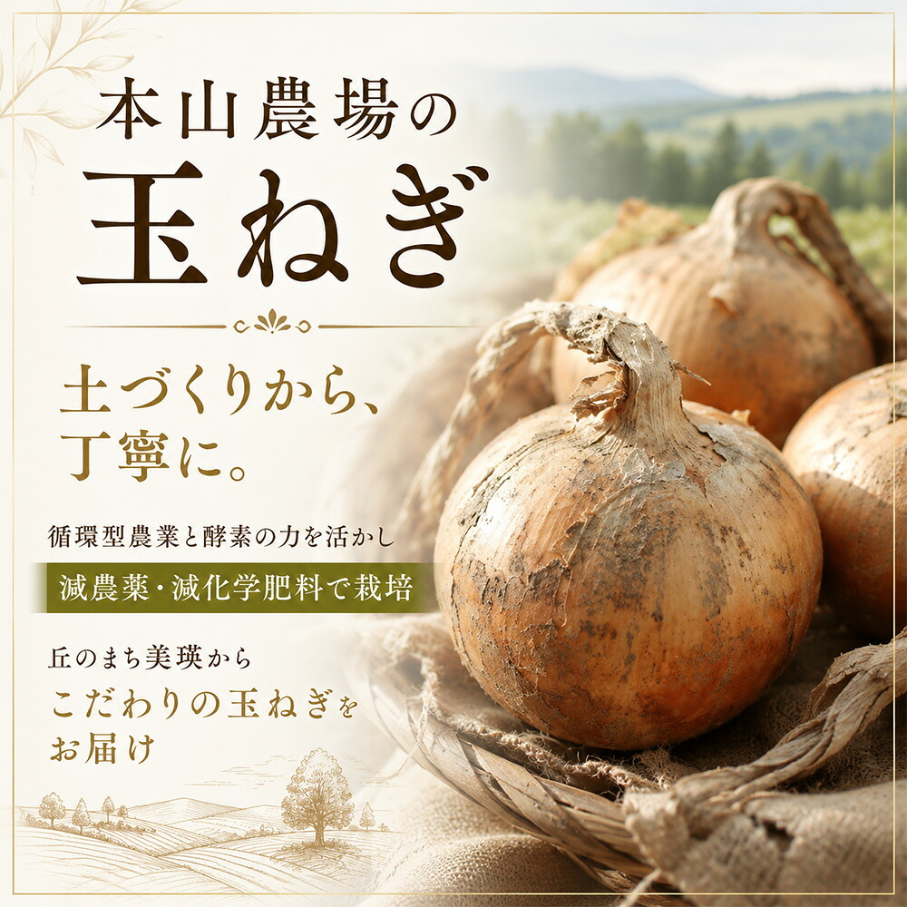 【ふるさと納税】野菜 定期便【令和9年産先行予約】3回便 本山農場の野菜定期便 幻のアスパラ ラスノーブル とうもろこし 玉ねぎ 北海道 4
