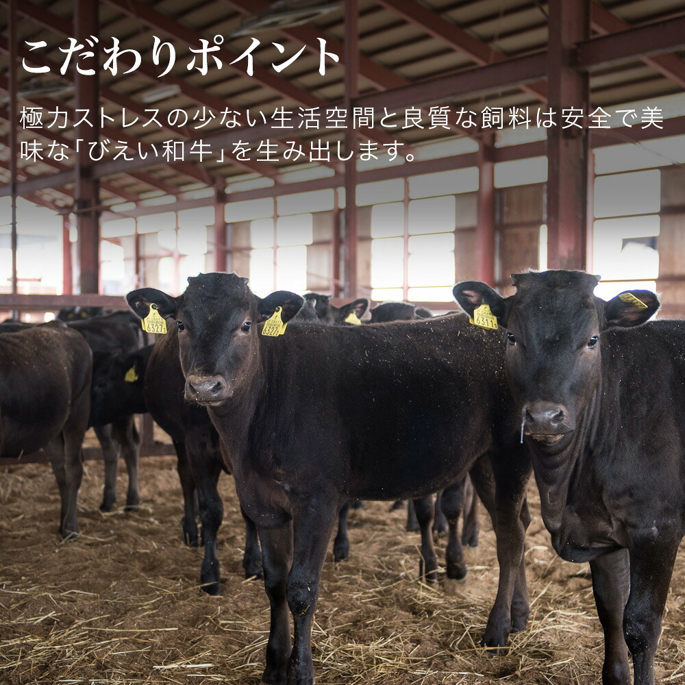 【ふるさと納税】ファームズ千代田　「びえい和牛」ステーキギフトセット 4