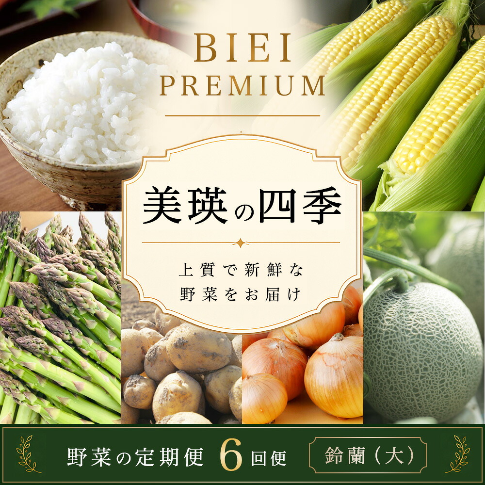 【先行予約】令和9年産【ふるさと納税】野菜 定期便 6回便 美瑛の四季～鈴蘭～ 美瑛米 アスパラ メロン とうもろこし じゃがいも 玉ねぎ 2