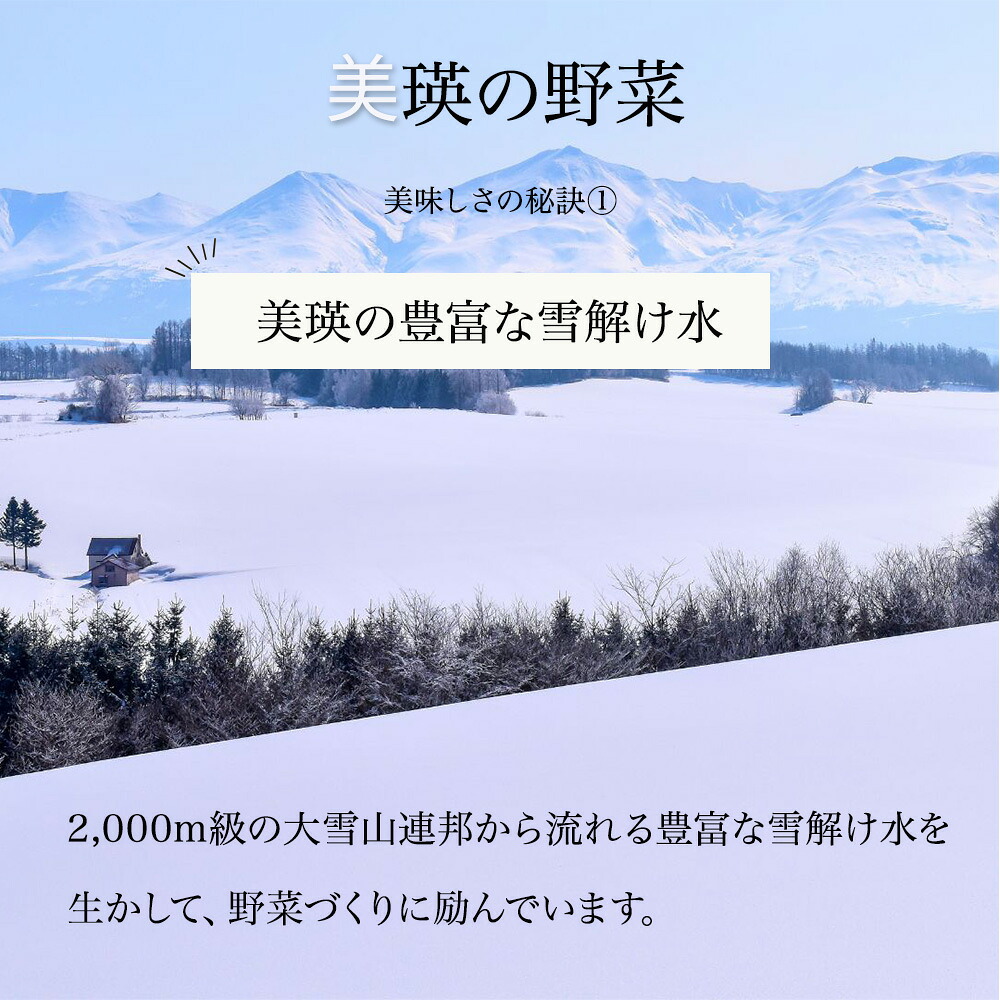 【先行予約】令和9年産【ふるさと納税】野菜 定期便 6回便 美瑛の四季～鈴蘭～ 美瑛米 アスパラ メロン とうもろこし じゃがいも 玉ねぎ 3