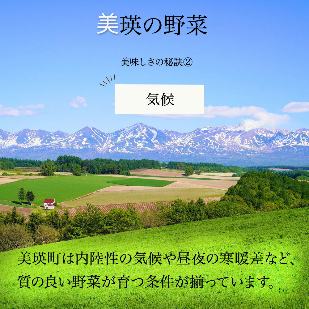 【先行予約】令和9年産【ふるさと納税】野菜 定期便 6回便 美瑛の四季～鈴蘭～ 美瑛米 アスパラ メロン とうもろこし じゃがいも 玉ねぎ 4