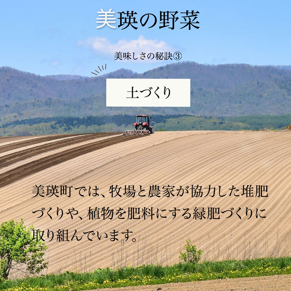 【先行予約】令和9年産【ふるさと納税】野菜 定期便 6回便 美瑛の四季～鈴蘭～ 美瑛米 アスパラ メロン とうもろこし じゃがいも 玉ねぎ 5