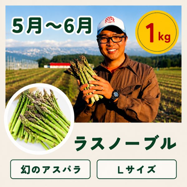 【先行予約】令和9年産【ふるさと納税】野菜 定期便 6回便 美瑛の四季～鈴蘭～ 美瑛米 アスパラ メロン とうもろこし じゃがいも 玉ねぎ 7