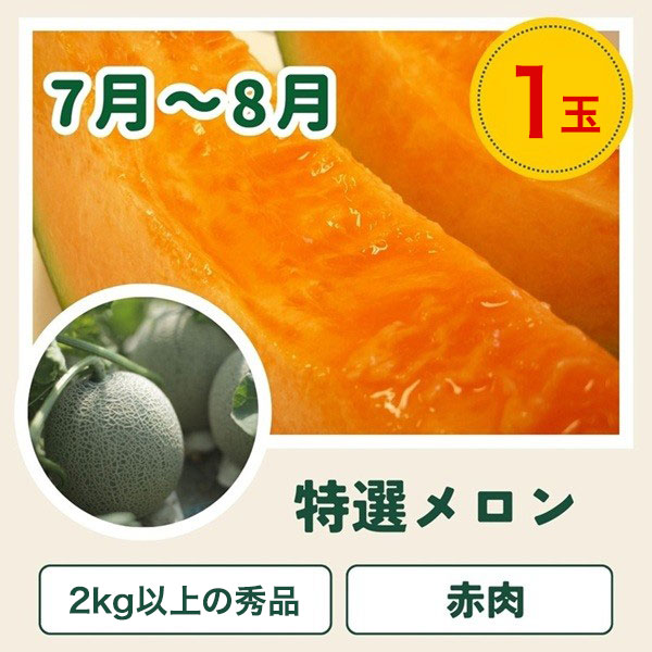 【先行予約】令和9年産【ふるさと納税】野菜 定期便 6回便 美瑛の四季～鈴蘭～ 美瑛米 アスパラ メロン とうもろこし じゃがいも 玉ねぎ 9