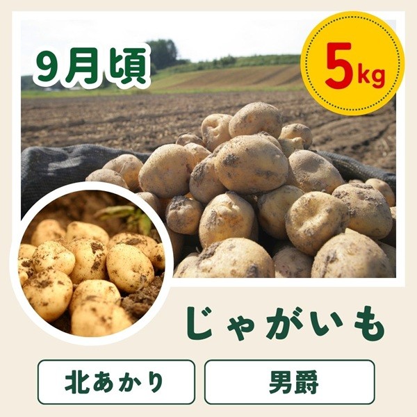 【先行予約】令和9年産【ふるさと納税】野菜 定期便 6回便 美瑛の四季～鈴蘭～ 美瑛米 アスパラ メロン とうもろこし じゃがいも 玉ねぎ 13