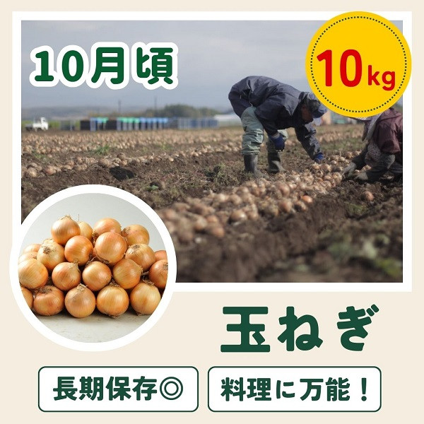 【先行予約】令和9年産【ふるさと納税】野菜 定期便 6回便 美瑛の四季～鈴蘭～ 美瑛米 アスパラ メロン とうもろこし じゃがいも 玉ねぎ 16