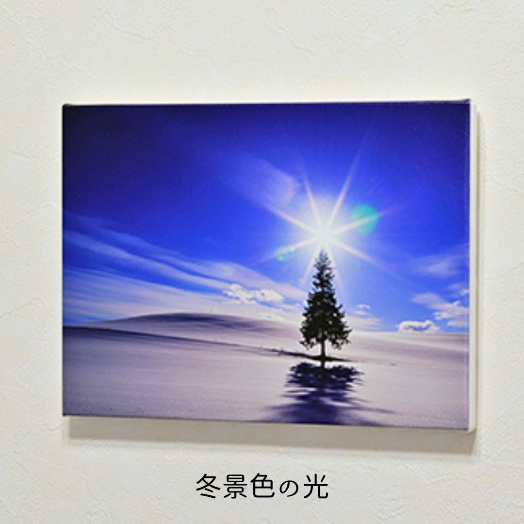 【ふるさと納税】キャンバスプリント(333mm × 242mm)　北海道　北海道美瑛　北海道美瑛町　美瑛町　美瑛　写真　クリスマスツリーの木　写真家　阿部俊一　[048-05] 2