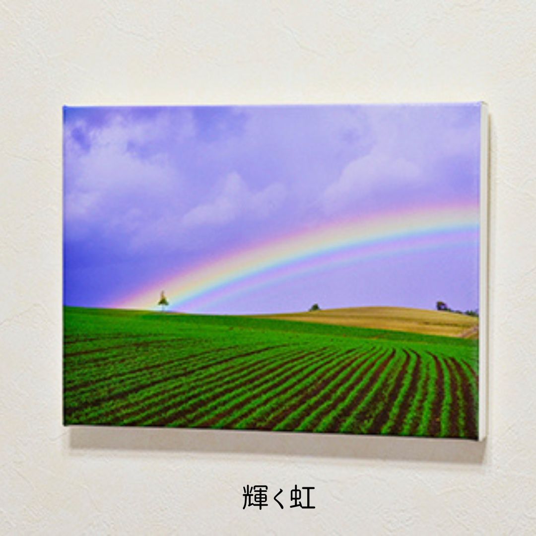 【ふるさと納税】キャンバスプリント(333mm × 242mm)　北海道　北海道美瑛　北海道美瑛町　美瑛町　美瑛　写真　クリスマスツリーの木　写真家　阿部俊一　[048-05] 3