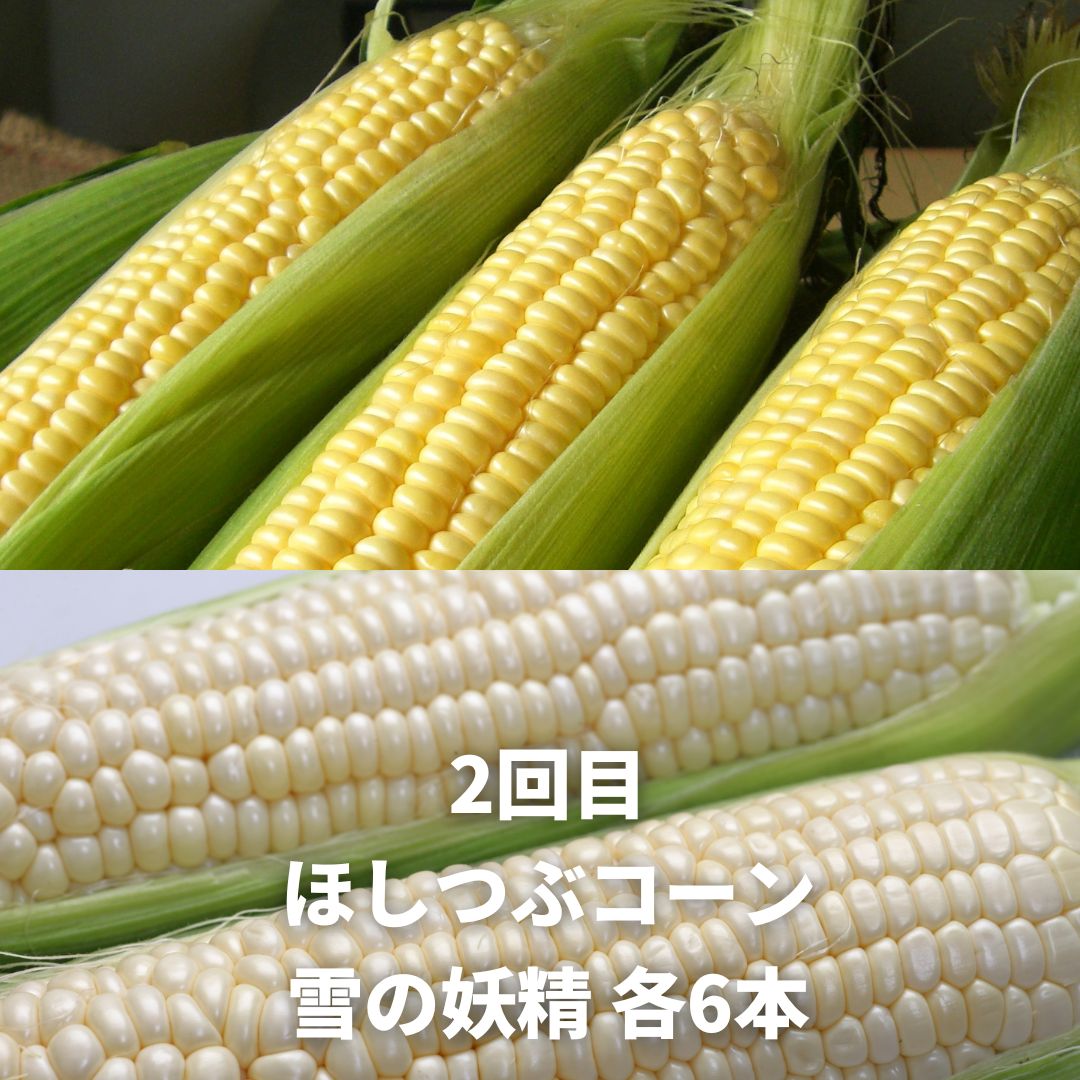 【ふるさと納税】野菜 定期便 3回便【令和9年産予約受付】野菜 セット 北海道 黒木農場 4