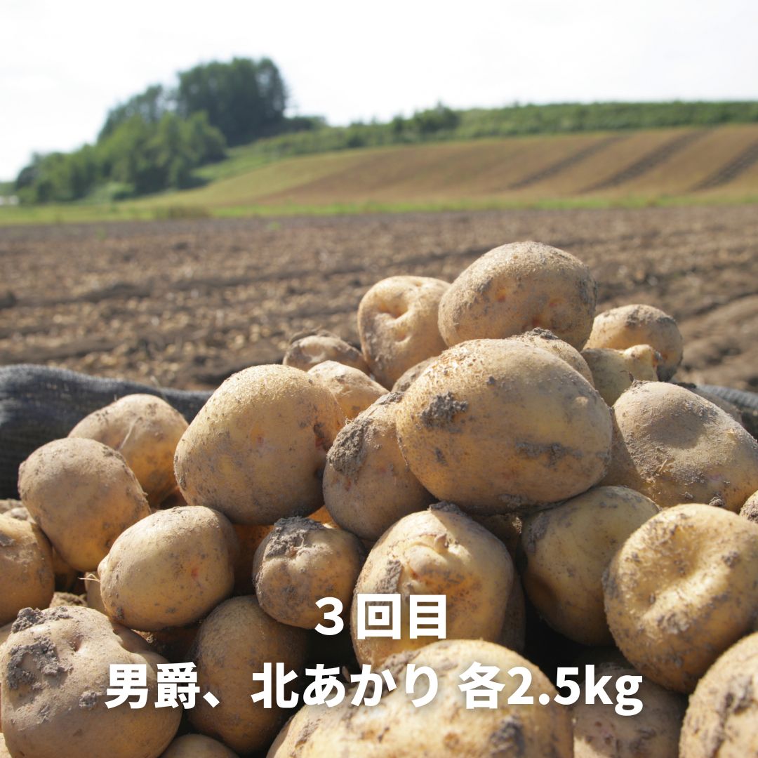 【ふるさと納税】野菜 定期便 3回便【令和9年産予約受付】野菜 セット 北海道 黒木農場 6