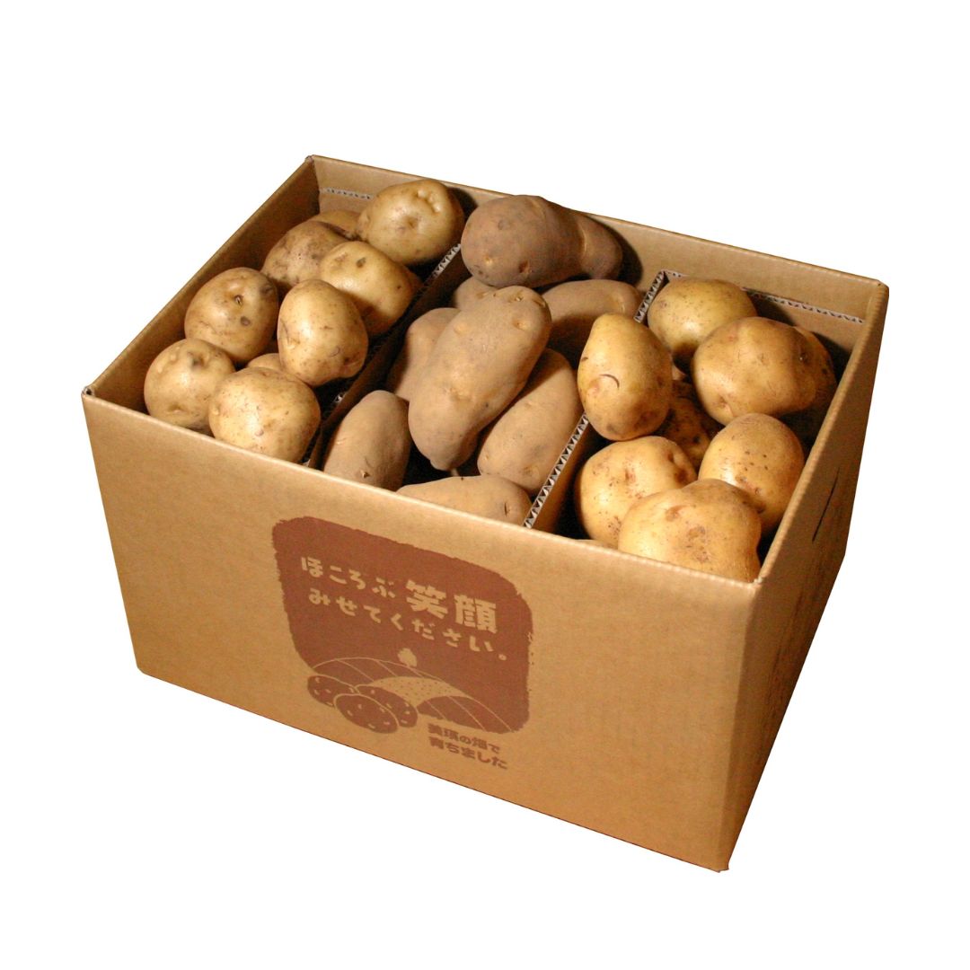 【ふるさと納税】野菜 定期便 3回便【令和9年産予約受付】野菜 セット 北海道 黒木農場 7