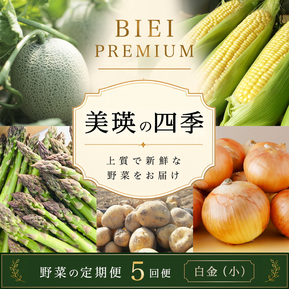 【先行予約】令和9年産【ふるさと納税】野菜 定期便 5回便 美瑛の四季～白金～ アスパラ メロン とうもろこし じゃがいも 玉ねぎ